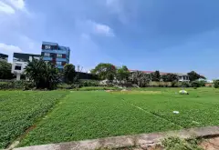 Cơ hội duy nhất sở hữu đất vàng khu tái định cư Quỳnh Đô... Bán đất tại Đại Thanh, Hà Nội 09
