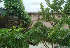 Bán nhà mặt phố tại Bình Chánh, diện tích 254.5m², mặt tiền 7.2m, pháp lý rõ ràng... Bán nhà mặt phố tại Bình Lợi, Hồ Chí Minh 15