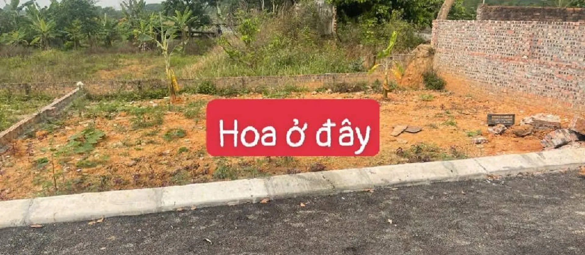 Cơ Hội Vàng: Đất 80m² Chỉ 1.7 Tỷ Tại Sóc Sơn!... Bán đất tại Sóc Sơn, Hà Nội 01