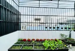 Bán nhà 5 tầng, 66m², hướng Đông Bắc, Quận 2 giá 8,7 tỷ... Bán nhà riêng tại Bình Trưng, Hồ Chí Minh 13
