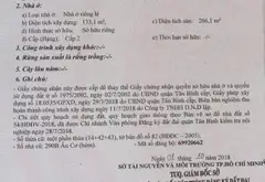 Nhà Tân Bình 11 phòng, thu nhập ổn định tháng 30 triệu... Bán nhà riêng tại Bảy Hiền, Hồ Chí Minh 06