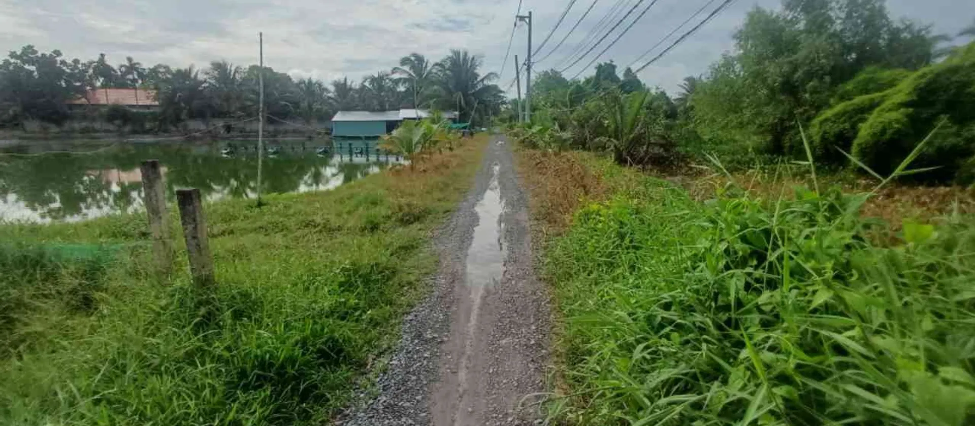 Bán đất 1000m2 hướng tây nam tại Long An giá 3 tỷ... Bán đất tại Bình Lợi, Hồ Chí Minh 01