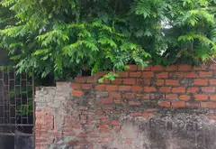 Mảnh đất vàng ô tô tránh tại Thanh Trì, cơ hội kinh doanh đỉnh... Bán owner_side tại Nam Phù, Hà Nội 02
