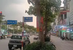 Nhà Ngô Gia Tự, Long Biên, kinh doanh dòng tiền, ô tô tải vào nhà, đầu tư xây toà nhà rất tiềm năng... Bán nhà riêng tại Việt Hưng, Hà Nội 09