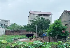 Đất siêu đẹp Quảng Hội- Sóc Sơn, giá hợp lý chốt ngay... Bán đất tại Sóc Sơn, Hà Nội 01
