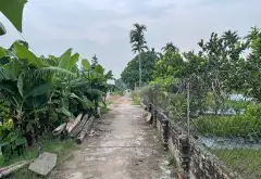 HÀNG HIẾM MỄ SỞ – NGÕ Ô TÔ – KHU DÂN CƯ GIÀU CÓ... Bán đất tại Mễ Sở, Hưng Yên 04