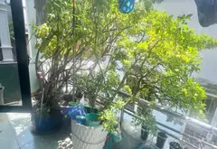 Bán nhà riêng 5 tầng tại phường Bàn Cờ, Quận 3, diện tích 34m2, giá 7.2 tỷ đồng... Bán nhà riêng tại Bàn Cờ, Hồ Chí Minh 10