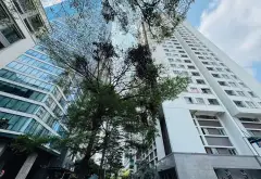 Cơ hội sở hữu căn hộ Bình Thạnh view Pháo Hoa đẳng cấp sát Quận 1, chỉ 3ty650... Bán căn hộ chung cư tại Thạnh Mỹ Tây, Hồ Chí Minh 01