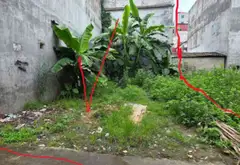 Bán đất xã Yên Trung Bắc Ninh diện tích 88m² hướng tây bắc pháp lý rõ ràng... Bán đất tại Yên Trung, Bắc Ninh 09