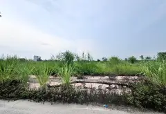 🔥🔥MẢNH ĐẤT TĐC VUÔNG NHƯ TỜ A4 - PHÂN LÔ VỈA HÈ, HAI MẶT THOÁNG - GIÁ ĐẦU TƯ🔥🔥

💥💥Mô tả:Mảnh... Bán đất tại Khoái Châu, Hưng Yên 02