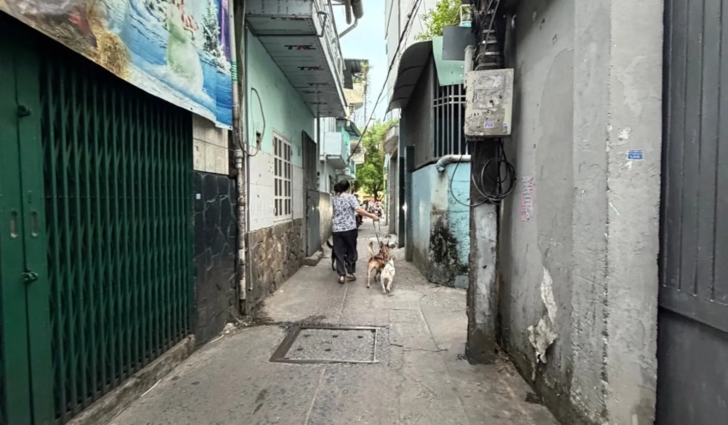 Nhà 4 tầng giá 10.6 tỷ, 85m2, 5 phòng ngủ tại Phường 3 Tân Bình... Bán nhà riêng tại Tân Sơn Hòa, Hồ Chí Minh 01