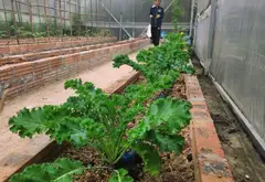 Đất nền tiềm năng tại xã Thiên Hương, TP Thủy Nguyên... Bán đất tại Thiên Hương, Hải Phòng 04
