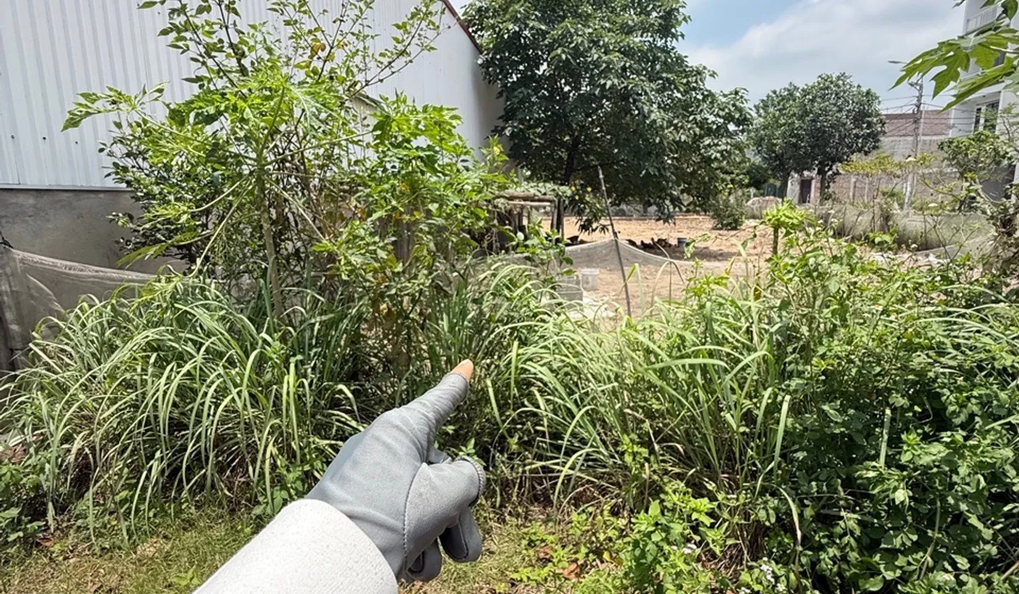 Bán đất phân lô tại trung tâm Ân Thi, Hưng Yên, mặt tiền rộng, thuận tiện kinh doanh... Bán đất tại Ân Thi, Hưng Yên 01