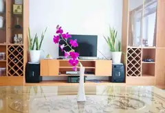 Bán nhà kiên cố 4 tầng 5 phòng ngủ tại Đông Hưng Thuận, Quận 12... Bán nhà riêng tại Đông Hưng Thuận, Hồ Chí Minh 02