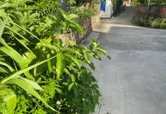 Bán đất thổ cư 93,6 m² tại xã Quỳnh Bội, gần sân bay Gia Bình... Bán đất tại Gia Bình, Bắc Ninh 01