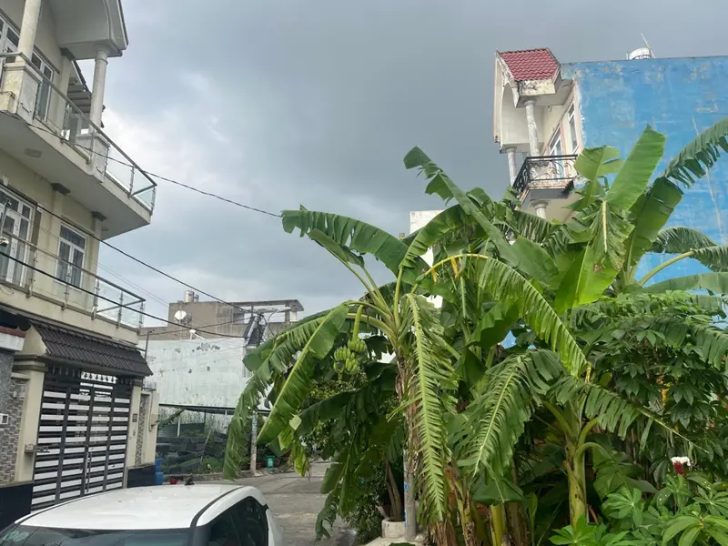 🔥 NHÀ + KHO PHAN VĂN HỚN – 10×18M – KHU DÂN CƯ ĐỒNG BỘ 🔥... Bán nhà riêng tại Xuân Thới Sơn, Hồ Chí Minh 01
