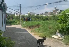 Nhà yên tĩnh Bình Chánh 4PN giá mềm... Bán nhà riêng tại Tân Vĩnh Lộc, Hồ Chí Minh 03