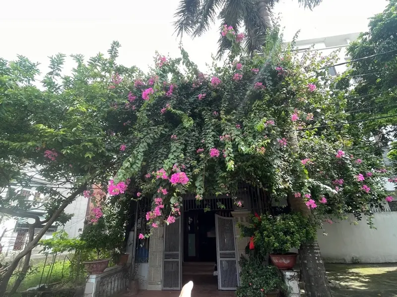 Bán đất thổ cư 75m2 mặt tiền 5m hướng Nam tại Võ Nguyên Giáp, quận Đông Anh... Bán đất tại Phúc Thịnh, Hà Nội 01