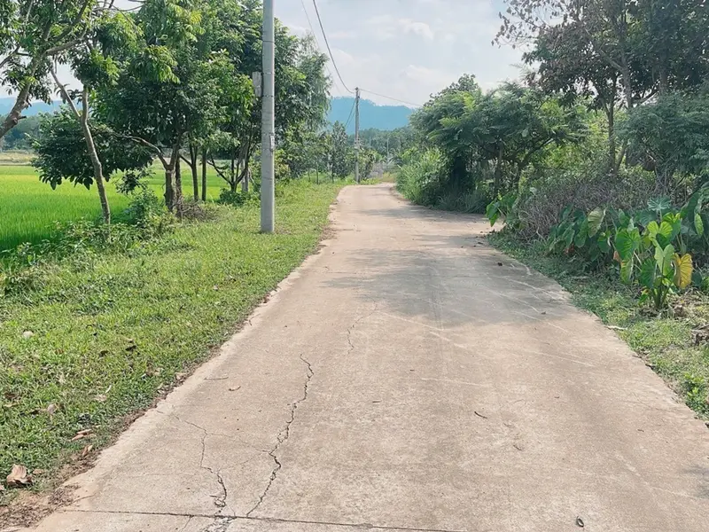 Bán đất 300 m2 Đông Nam tại Đa Hội, Trung Giã, Hà Nội, pháp lý cơ sở rõ ràng... Bán đất tại Trung Giã, Hà Nội 01
