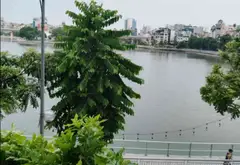 Bán nhà mặt phố Mai Anh Tuấn quận Đống Đa view hồ Hoàng Cầu, 5 tầng, sổ đỏ chính chủ... Bán nhà mặt phố tại Ba Đình, Hà Nội 11