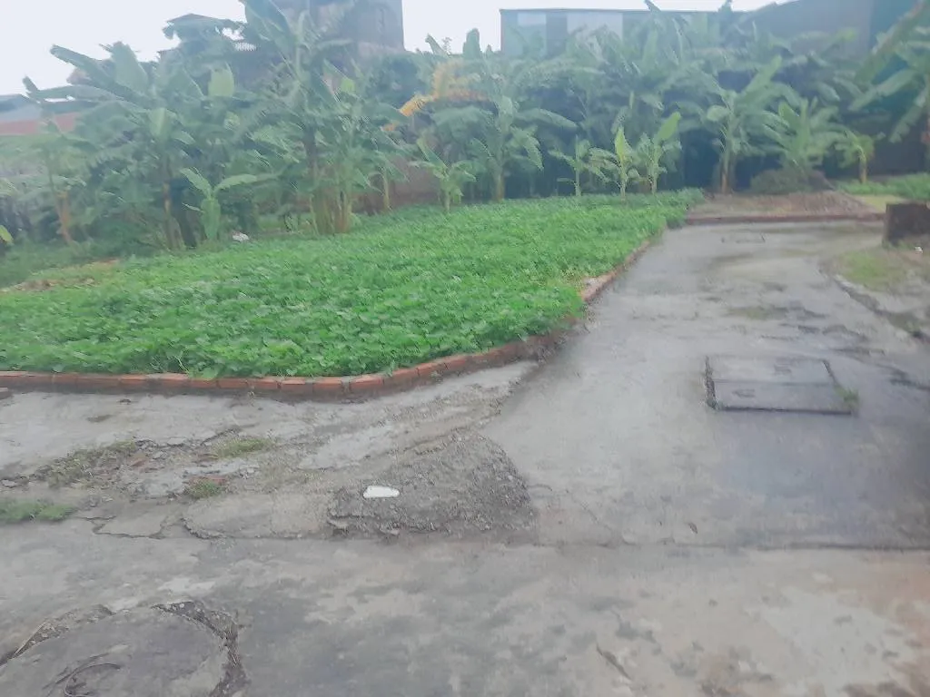 Bán đất 80m2 xã Tiên Dược, Sóc Sơn với sổ hồng chính chủ, ô tô vào tận nơi... Bán đất tại Sóc Sơn, Hà Nội 01