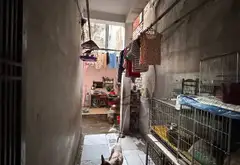 🏙️🎯 TRƯỜNG CHINH – ĐỐNG ĐA 93M² ĐẤT, MT 5.3M, NGÕ 5M, GIÁ 27,5 TỶ.... Bán partner tại Kim Liên, Hà Nội 07