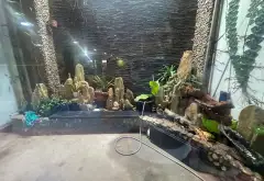 Nhà mặt phố lô góc siêu sầm uất, thu nhập ổn định... Bán nhà mặt phố tại Bình Tân, Hồ Chí Minh 06