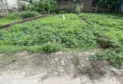 Cơ hội vàng sở hữu 100m Full thổ cư tại Trục Kinh Doanh Gò Sỏi - Trung Giã ,trục đường mở rộng 12... Bán đất tại Trung Giã, Hà Nội 08