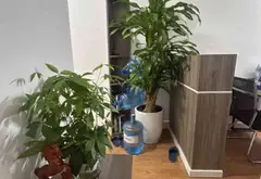 Căn hộ siêu phẩm tại Lương Thế Vinh - cơ hội vàng sở hữu ngay hôm nay... Bán căn hộ chung cư tại Đại Mỗ, Hà Nội 03