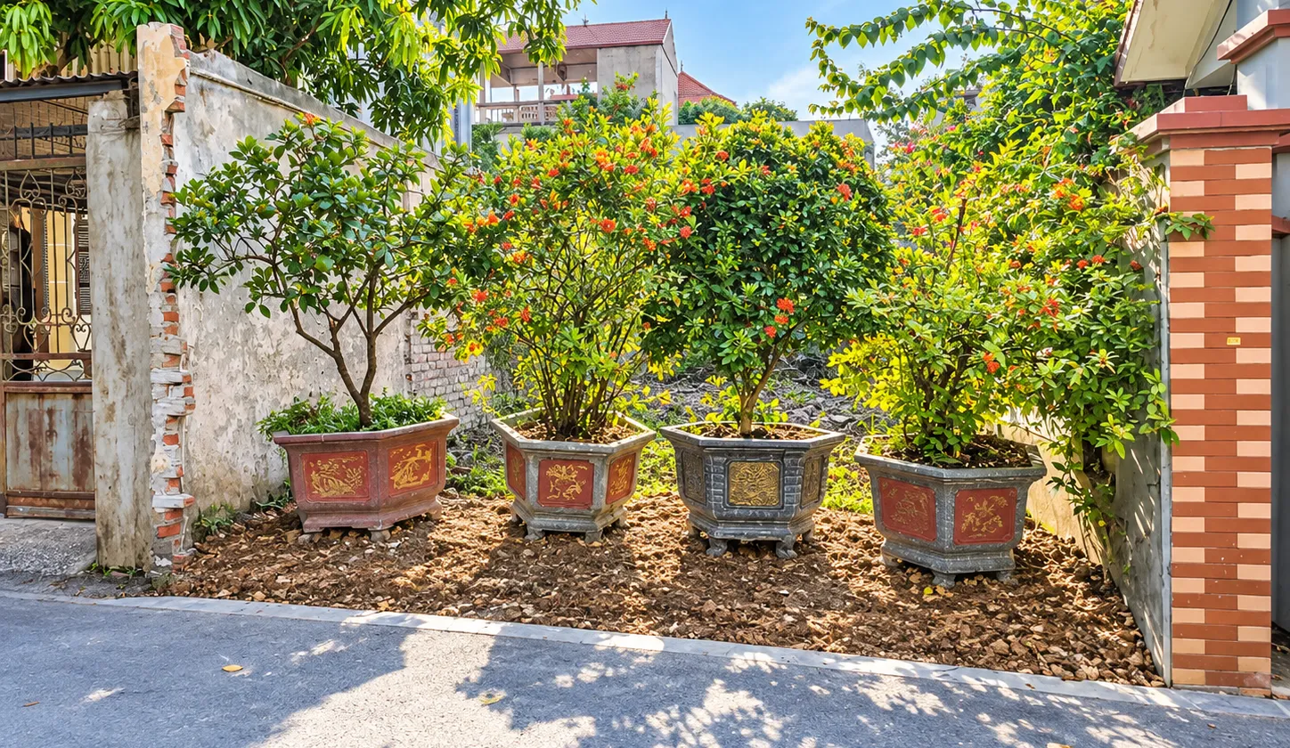 Bán Đất Đại Mạch Cũ , 109m - Oto Thông - Gần Cầu Thượng Cát - Kcn Bắc Thăng LOng... Bán owner_side tại Thiên Lộc, Hà Nội 01