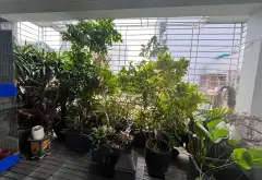 Nhà Trần Khát Chân 40/45m², 5 tầng, 3 ngủ – ngõ nông, gần ô tô... Bán nhà riêng tại Vĩnh Tuy, Hà Nội 05
