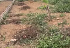 BDS căn nhà MẶT HỒ... Bán đất tại Thạch Thất, Hà Nội 01