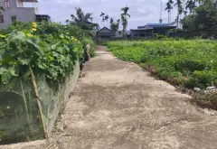 Bán đất lô góc 2 mặt thoáng tại trung tâm xã Lâm Động... Bán đất tại Thiên Hương, Hải Phòng 03