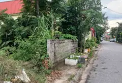 Mảnh đất mặt đường Hòa Nghĩa rộng rãi, vị trí đắc địa, thuận lợi kinh doanh... Bán đất tại Dương Kinh, Hải Phòng 03