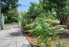 Bán nhà mặt phố xã Hòa Phú, Củ Chi, diện tích 712.6 m2, mặt tiền 11 m- Giá 7 tỷ 900... Bán nhà mặt phố tại Bình Mỹ, Hồ Chí Minh 02