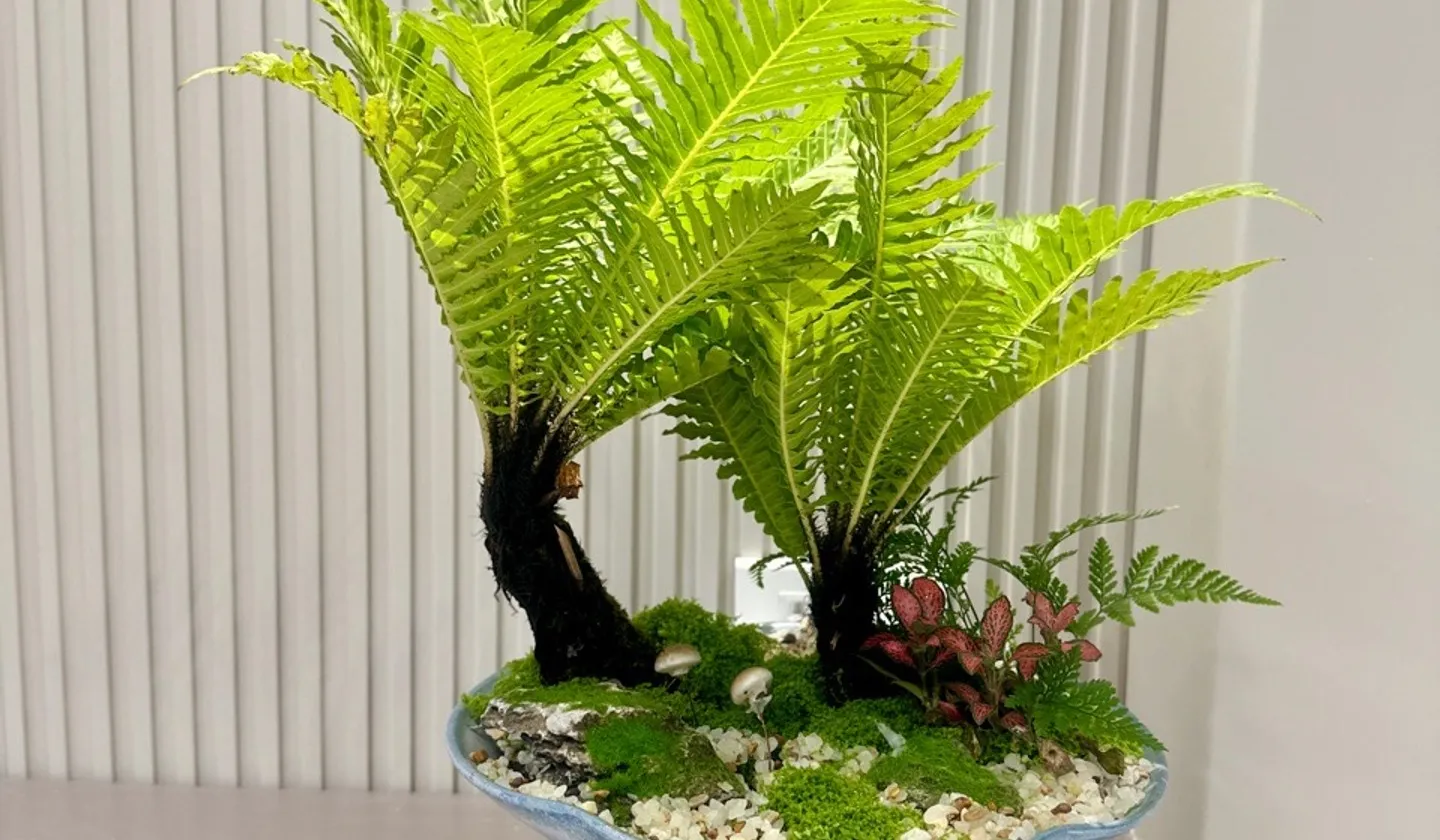 Cơ hội sở hữu nhà phân lô quân đội vị trí vàng tại Lê Trọng Tấn Thanh Xuân... Bán nhà riêng tại Phương Liệt, Hà Nội 01