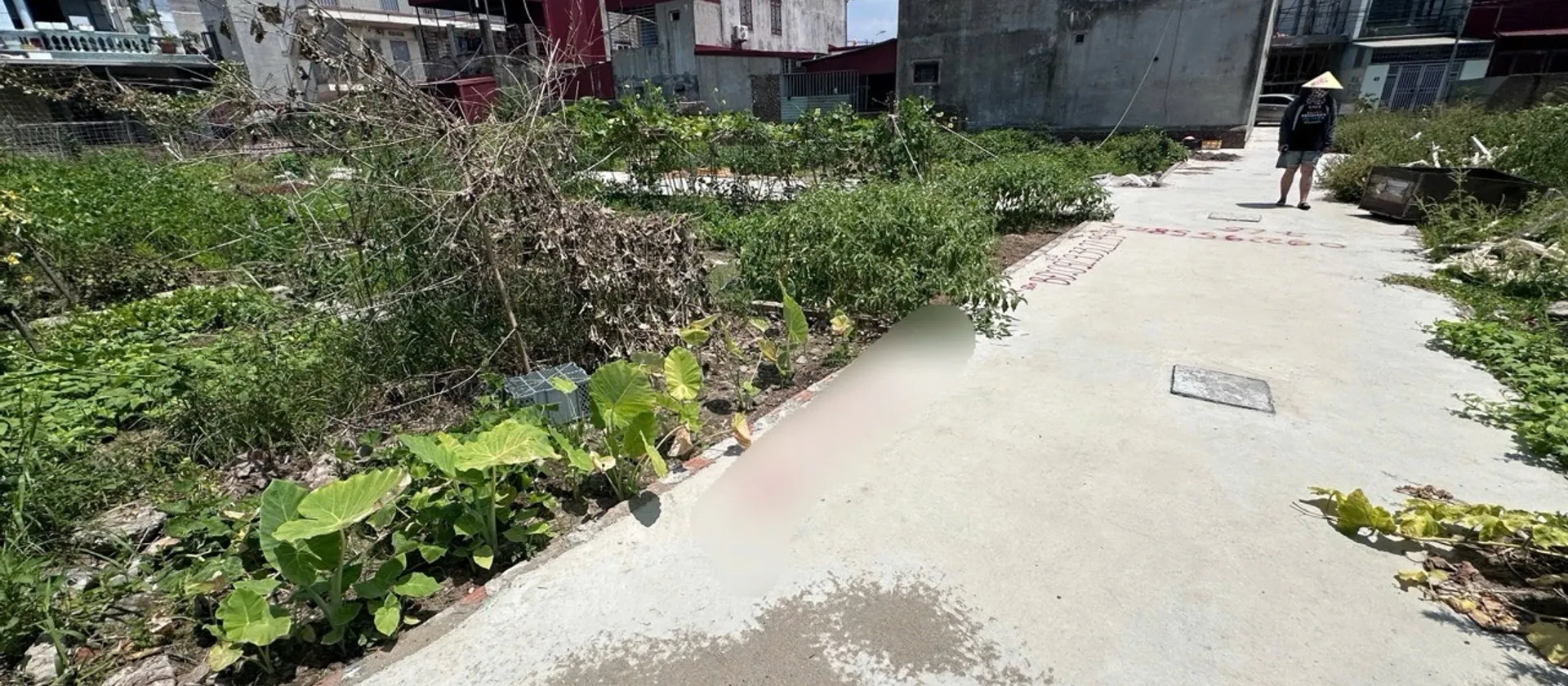 Đất nền hướng Đông Nam tại khu vực sầm uất gần khu công nghiệp Tràng Duệ... Bán đất tại An Dương, Hải Phòng 01