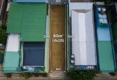 Đất Vàng Gò Vấp - Giá Tốt, Vị Trí Đắc Địa... Bán đất tại Thông Tây Hội, Hồ Chí Minh 02