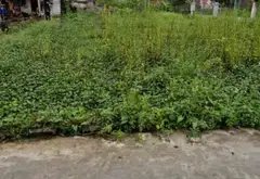 Lô đất rộng mặt tiền 18,2m tại phường Thiên Hương, không gian lý tưởng để phát triển... Bán đất tại Thiên Hương, Hải Phòng 02