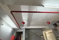 Bán nhà riêng 5 tầng diện tích 126.1m2 tại Quận 7, thu nhập ổn định, giá 17.6 tỷ... Bán nhà riêng tại Tân Thuận, Hồ Chí Minh 07