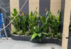 🔥 THỚI AN – 5 TẦNG XÂY MỚI – THANG MÁY – 84M² – XE TẢI ĐỖ CỬA – 8.7 TỶ 🔥
🏡 Căn nhà cần tham khảo... Bán nhà riêng tại Thới An, Hồ Chí Minh 07