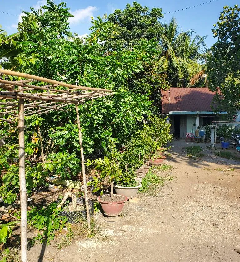 Nhà Mặt Phố View Sông Rộng 938m2 Tại Bình Chánh... Bán nhà mặt phố tại Bình Lợi, Hồ Chí Minh 01