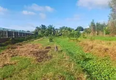Bán đất rộng 5046m², mặt tiền 24m tại xã vùng ven... Bán đất tại Bình Lợi, Hồ Chí Minh 08