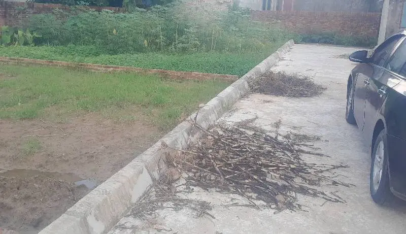 Bán đất 80m² mặt tiền rộng tại Xuân Đồng, Tân Minh, Sóc Sơn, Hà Nội... Bán đất tại Sóc Sơn, Hà Nội 01