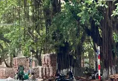 Siêu phẩm đất lô góc nở hậu tại Đồng Kỵ - Cơ hội hiếm với vị trí vàng... Bán đất tại Đồng Kỳ, Bắc Ninh 02