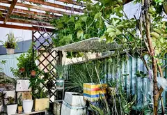Nhà mặt tiền sầm uất khu Nghĩa Phát giá sốc... Bán nhà mặt phố tại Tân Sơn Nhất, Hồ Chí Minh 15