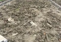Bán nhà riêng tại xã Lâm Động, Thủy Nguyên, diện tích 68m², hướng Nam, pháp lý rõ ràng... Bán nhà riêng tại Thiên Hương, Hải Phòng 02