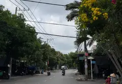 Đất Vàng Tăng Nhơn Phú - Sổ Sẵn, Tiện Xây CHDV... Bán đất tại Tăng Nhơn Phú, Hồ Chí Minh 01