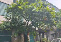 Biệt thự liền kề Duyên Thái, không gian sống lý tưởng... Bán biệt thự, liền kề tại Ngọc Hồi, Hà Nội 04