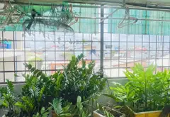 Nhà mặt tiền nở hậu siêu đẹp tại Tân Bình, giá hời 13.5 tỷ... Bán nhà mặt phố tại Tân Hòa, Hồ Chí Minh 05